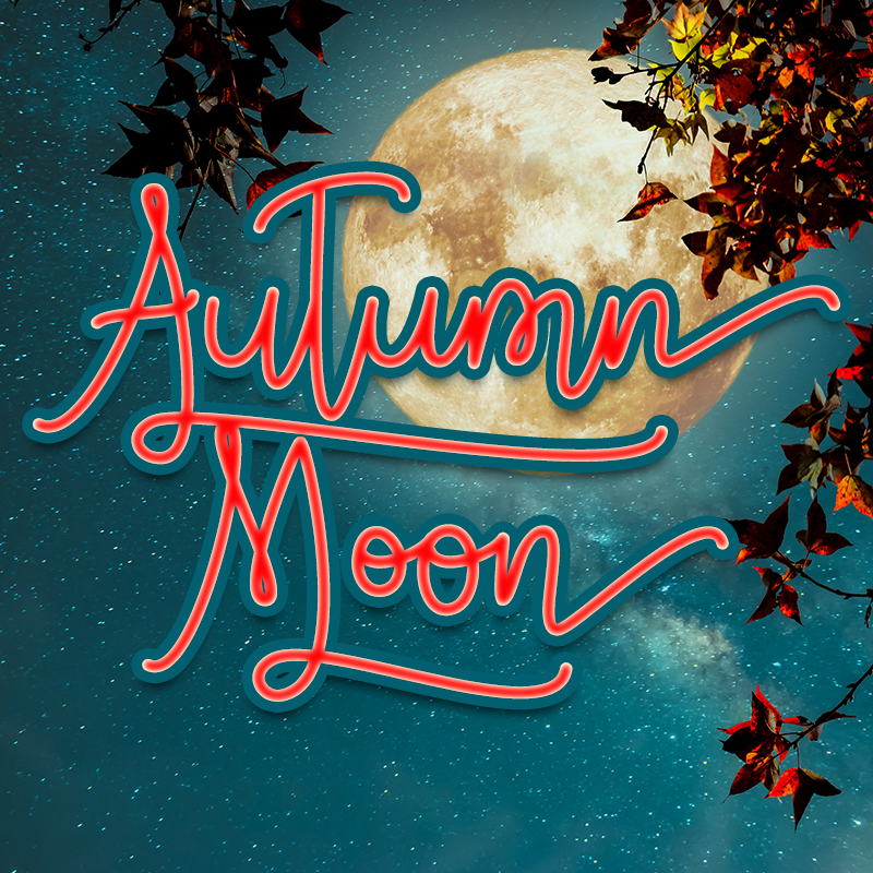 I Love You To The Moon Svg File Best Free Fonts Free Handwriting 