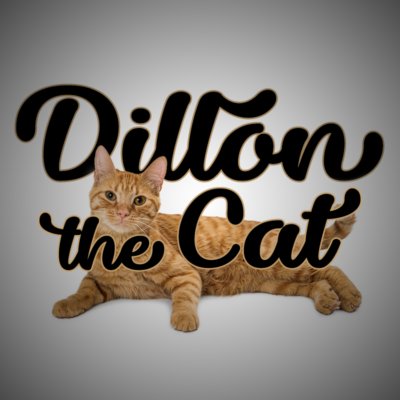 Dillon the Cat